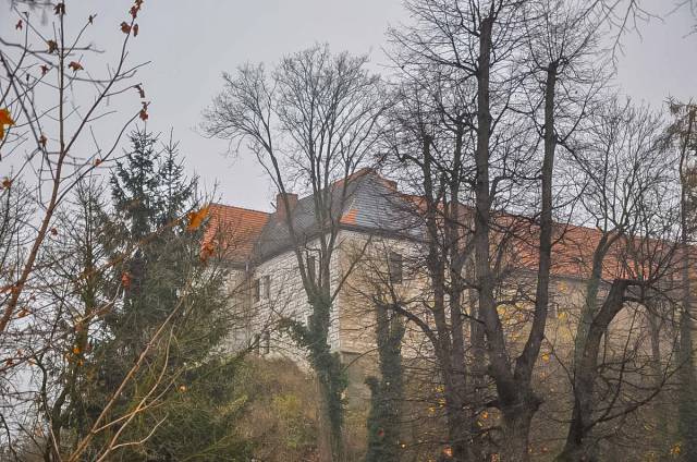Castle in Niemcza