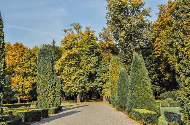 Park przy pałacu w Kobierzycach