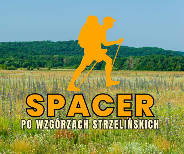 A walk in the Strzelinskie Hills  